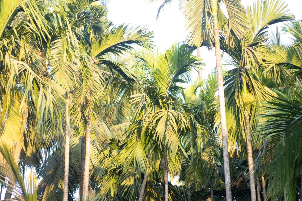 Sk Resort Alibag Exterior photo